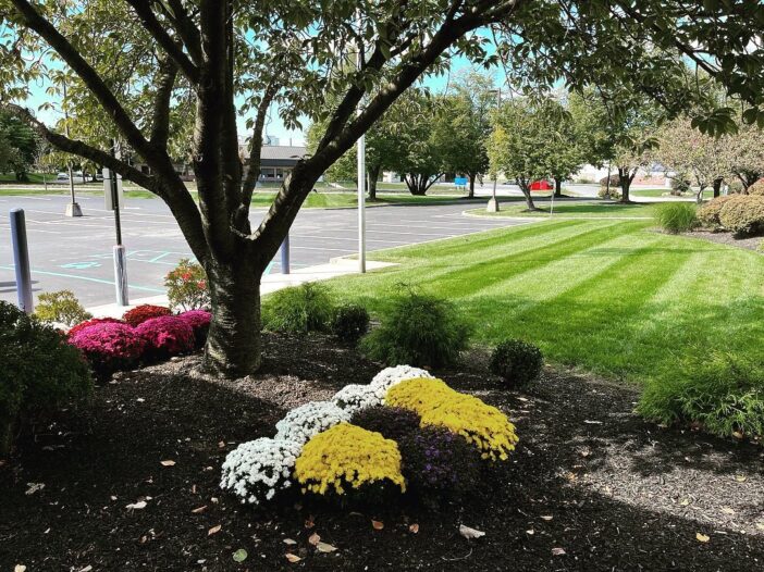 Newtown, PA Landscaping Services