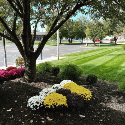 Yardley, PA Landscaping Services