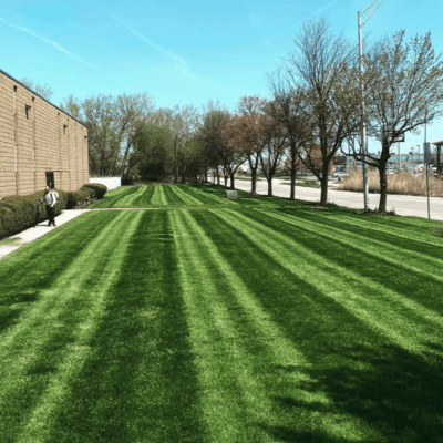 Yardley, PA Commercial Landscape Maintenance