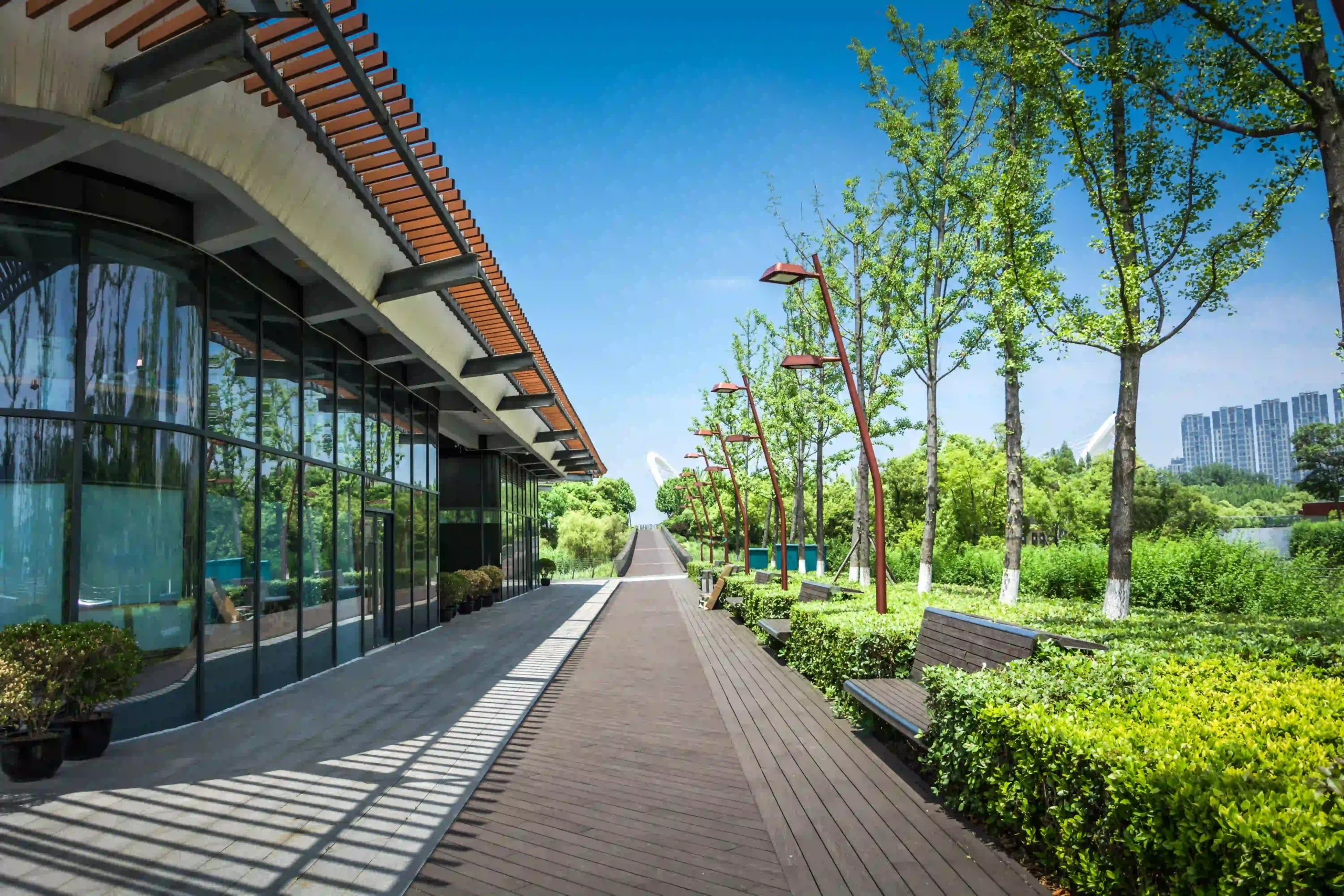 Landscaped walkway with trees outside modern commercial building
