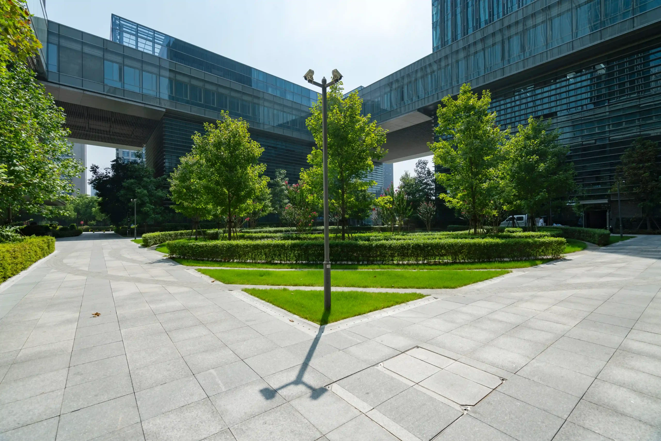 Landscaped trees and walkways at modern office complex