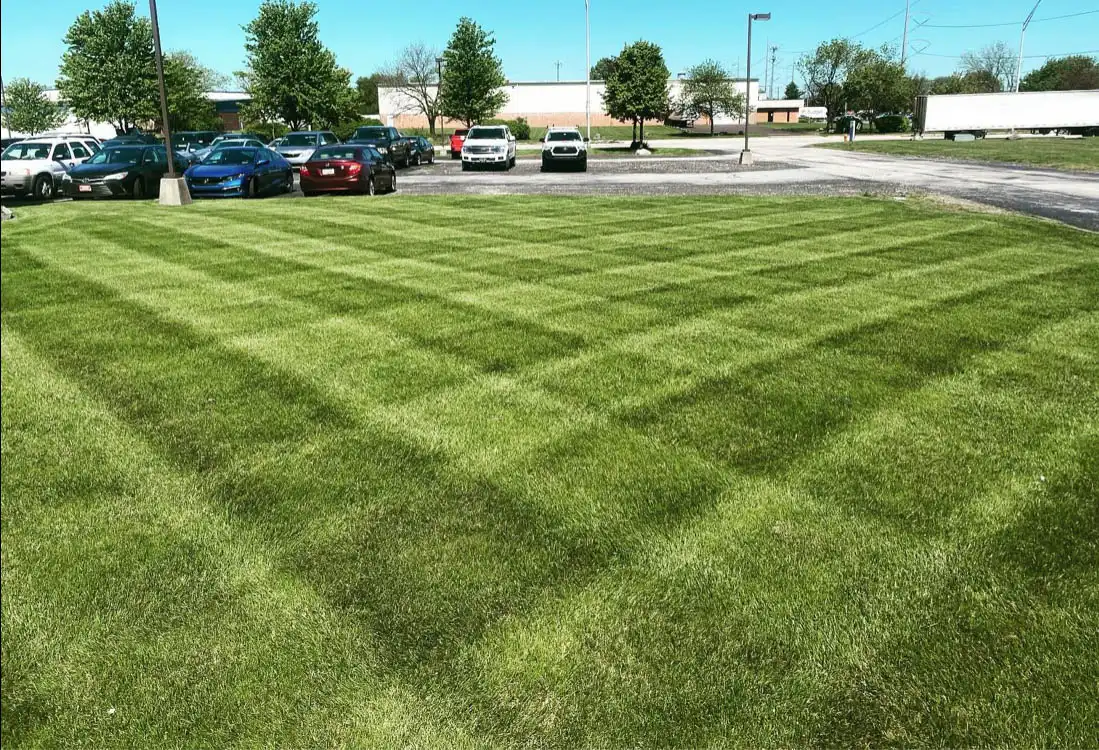 A freshly striped green lawn in front of a parking cars
