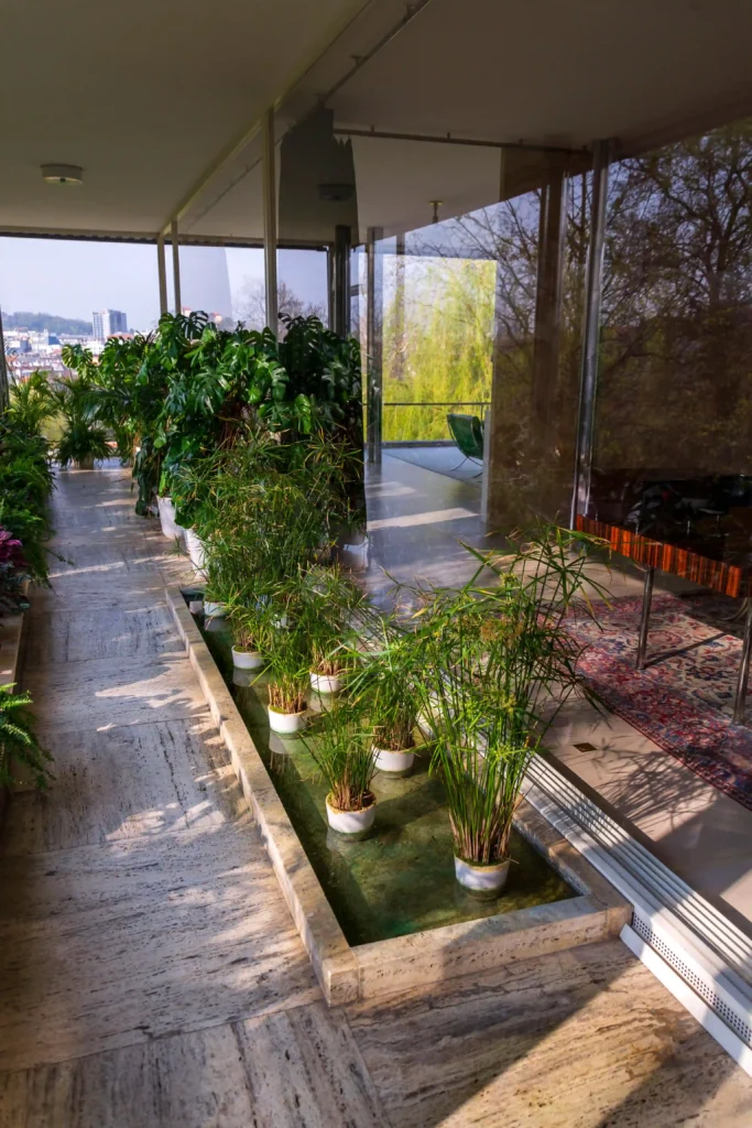 Potted aquatic plants inside a modern commercial atrium
