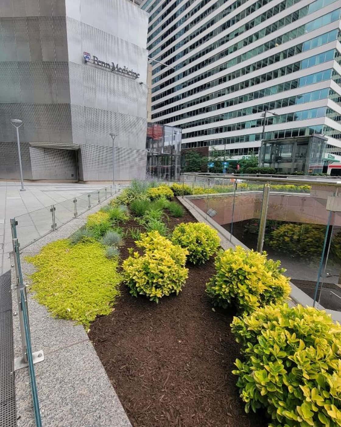 Landscaped plaza with shrubs and mulch beside a modern office building with tall glass-windowed buildings in the background.