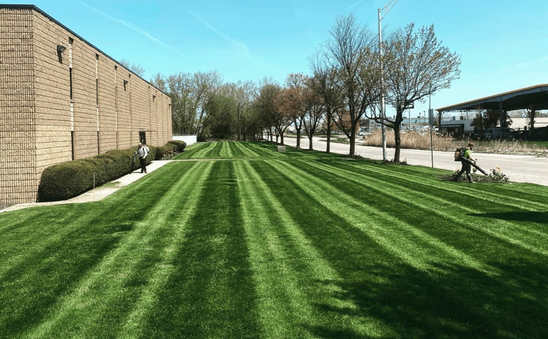 A freshly striped green lawn beside a brick building, with two workers using leaf blowers along the sidewalk and trees lining the street.