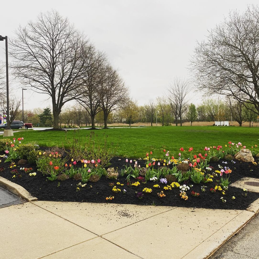 Yardley, PA Commercial Landscape Design